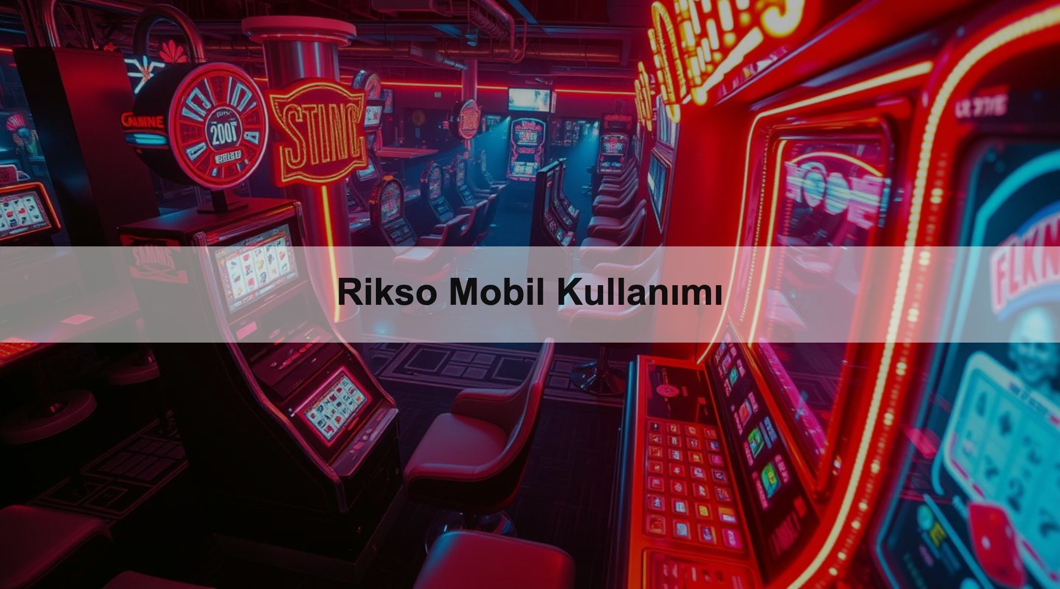 Rikso Mobil Kullanımı 1 Rikso Mobil Kullanımı